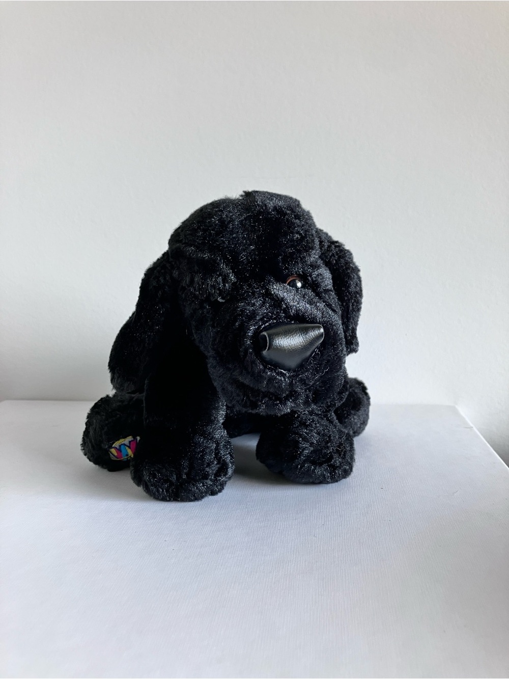 Webkinz Black Lab